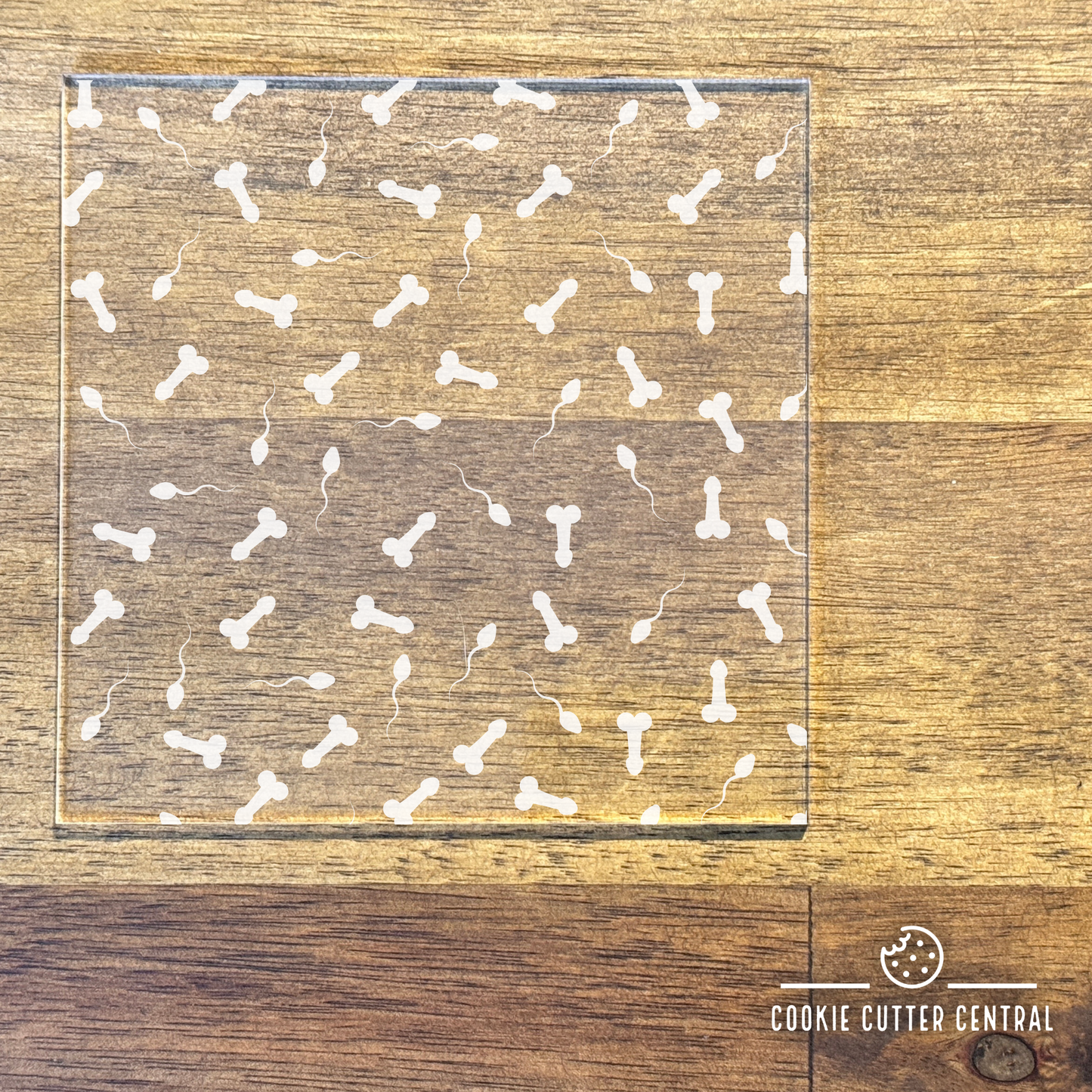 Penis & Sperm Acrylic Debosser Pattern Plate - 10cm