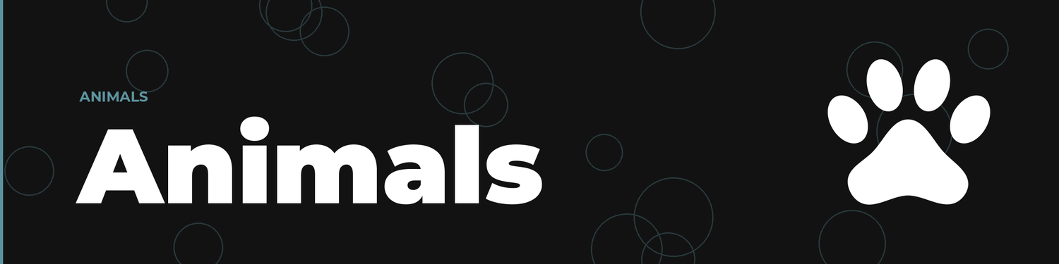 Animals — Cookie Cutter Central